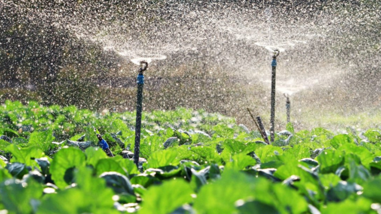 hidrico_riego_campo_3