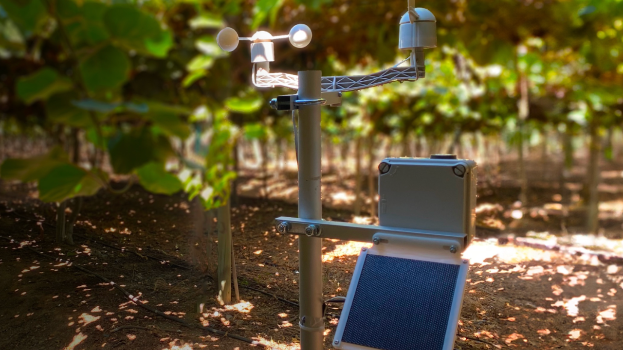 optimización de riego agua campo