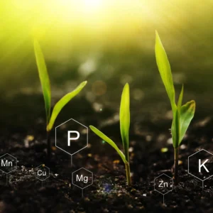 FoliarFix NitroBoost