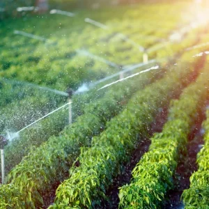 Optimizador Integral de Riego Tecnificado HydroMax Elite